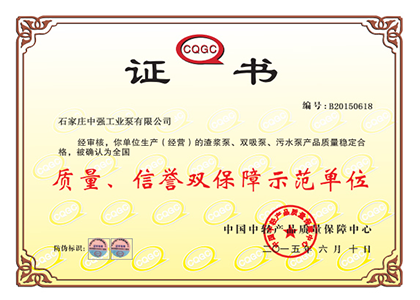 渣漿泵,ZJ渣漿泵
